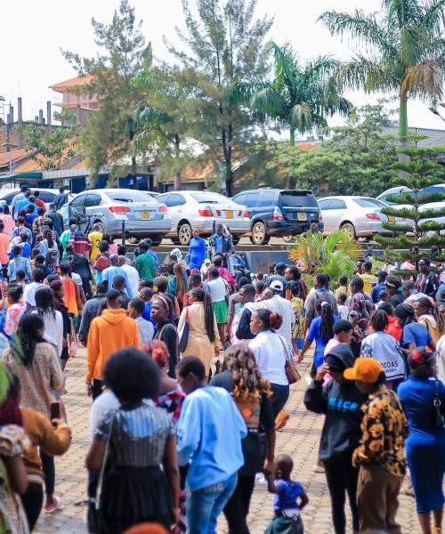 SnapInsta.to_467779885_18383354947099555_1816886459235722550_n